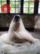 A woman in a wedding dress sitting in front of a window.